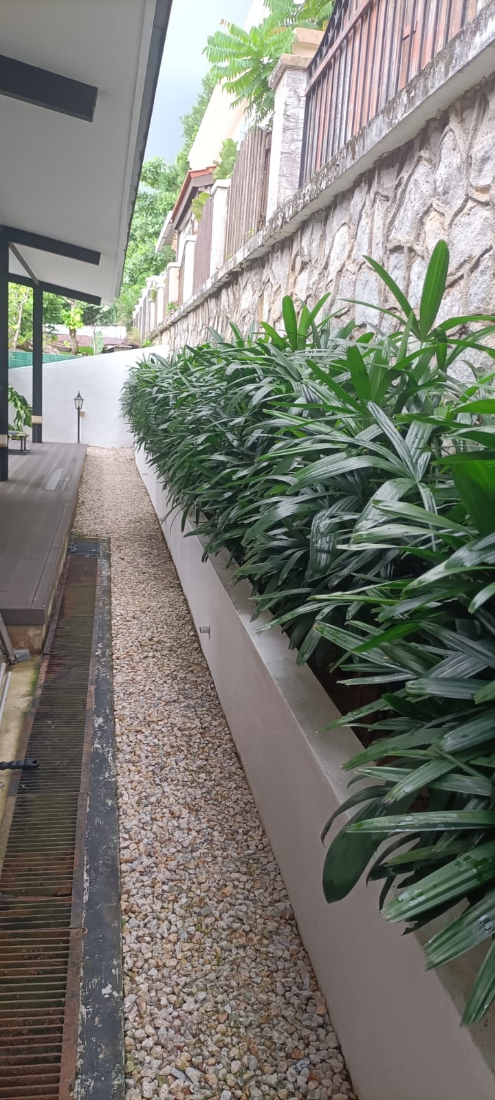 Landscape Maintenance - Plant Care